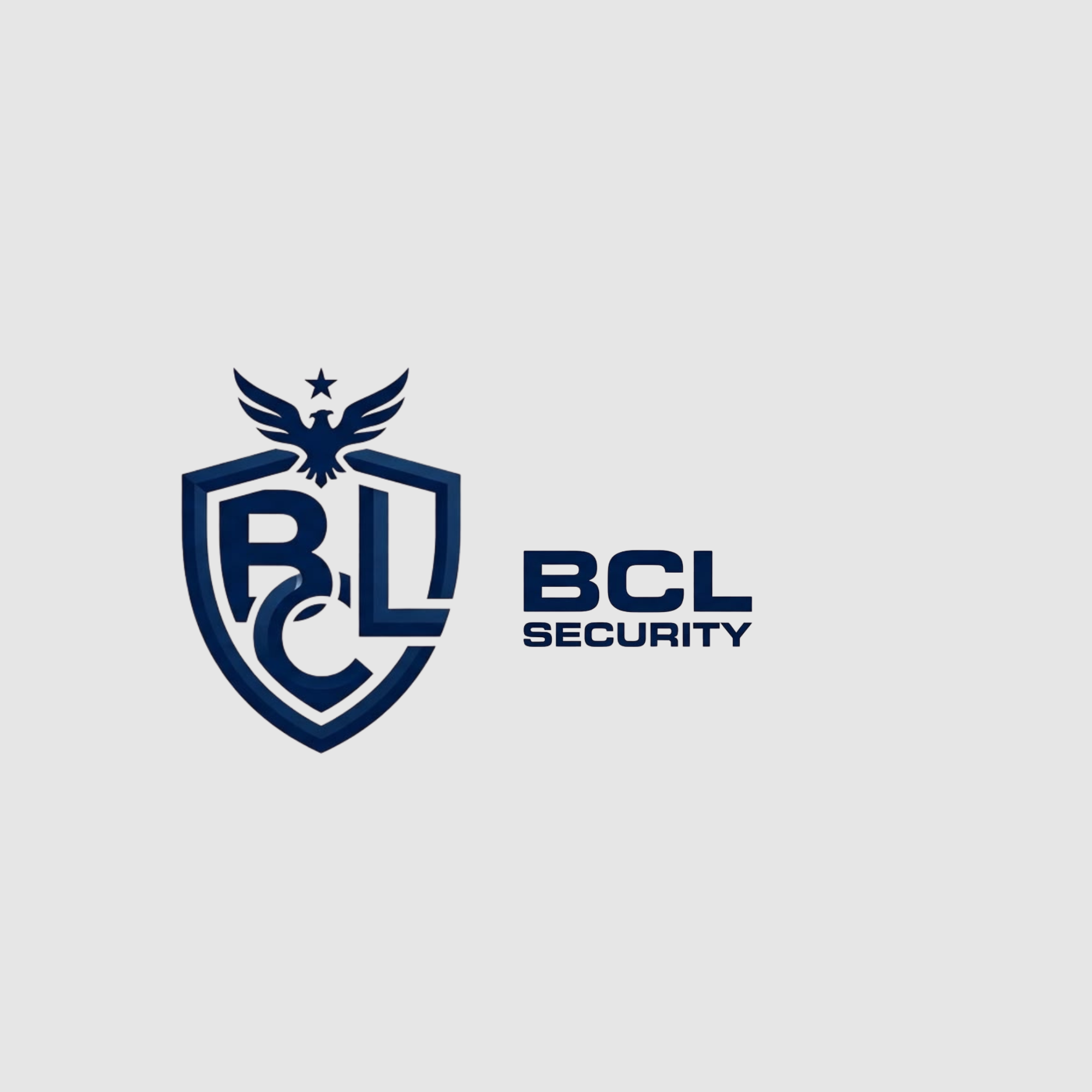BCL Security Services